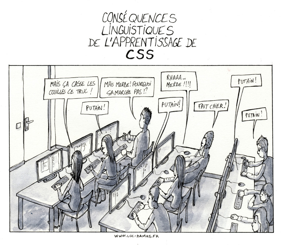 consequences_linguistiques_apprentissage_css